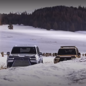 Lexus Winter Service Package